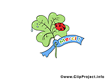 Coccinelle clipart gratuit - Merci images