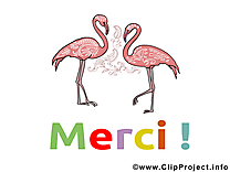 Flamants images - Merci clip art gratuit