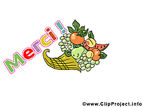 Fruits image gratuite - Merci illustration