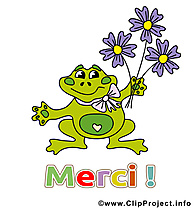 Grenouille images gratuites – Merci clipart