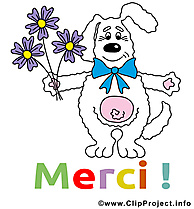 Lièvre illustration - Merci images