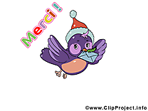 Oiseau images gratuites – Merci clipart