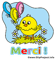 Poussin image gratuite - Merci cliparts