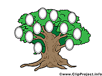 Clip arts gratuits arbre généalogique illustrations