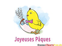 Poussin images gratuites – Pâques clipart