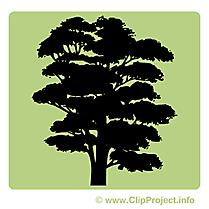 Arbre illustration - Pictogramme images gratuites