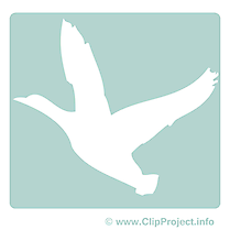 Cygne cliparts- Pictogramme images gratuites