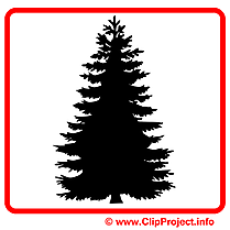 Sapin images gratuites – Pictogramme clipart