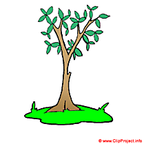 Arbre clipart gratuit