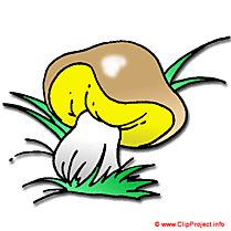 Bolet image clipart gratuit