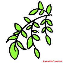 Branche image clipart gratuite