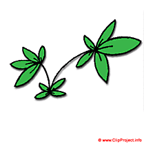 Buisson clipart gratuit