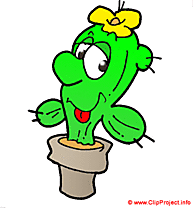 Cactus clipart gratuit