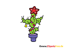 Cactus image à télécharger - Plante clipart