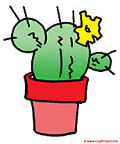 Cactus image clipart gratuit