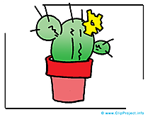 Cactus image gratuite - Plante cliparts