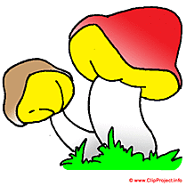 Champignons image clipart gratuit