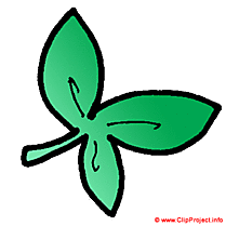 Feuille arbre clipart gratuit