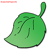 Feuille de bouleau clipart gratuit