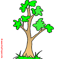 Peuplier image clipart gratuit