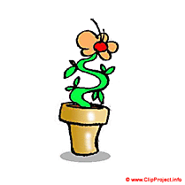 Plante en pot clipart gratuit