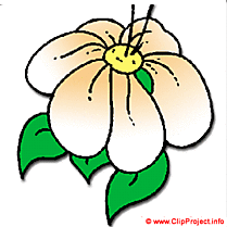 Souci image clipart gratuit