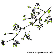 Cerisier image gratuite – Printemps clipart