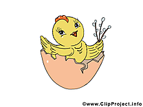 Coquille image gratuite – Pâques clipart