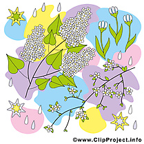 Feuilles clip arts gratuits - Printemps illustrations