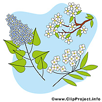 Floraison images - Printemps dessins gratuits