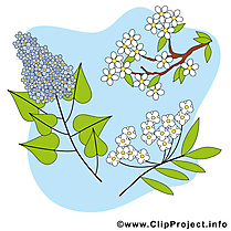 Floraison images - Printemps dessins gratuits