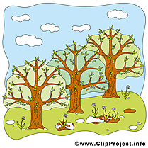 Parc image gratuite - Arbres images cliparts