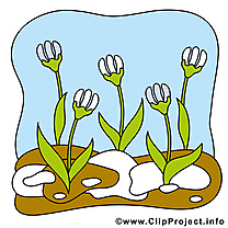 Perce-neige clip art gratuit - Printemps dessin