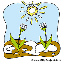 Perce-neige images - Printemps clip art gratuit