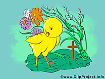 Poussin clip art gratuit - Pâques dessin