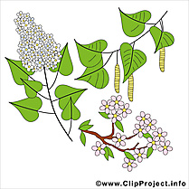 Printemps cliparts gratuis - Lilas images gratuites