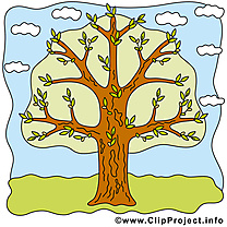 Printemps image gratuite – Arbre clipart