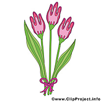 Tulipe images gratuites – Printemps clipart gratuit