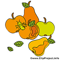 Action de grâce images - Fruits clip art gratuit