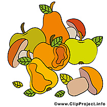 Fruits images – Action de grâce clipart gratuit