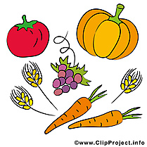 Légumes illustration - Action de grâce clipart