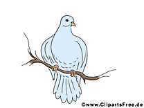 Branche illustration - Pentecôte clipart