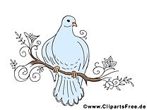 Branche pigeon clip art Pentecôte image