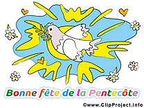 Colombe illustration - Pentecôte clipart