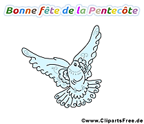 Colombe image à télécharger - Pentecôte clipart