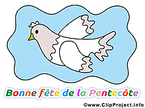 Colombe image gratuite Pentecôte clipart - Kopie