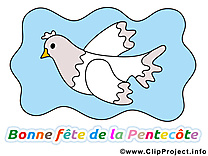 Colombe image gratuite Pentecôte clipart