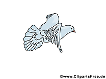 Pentecôte image gratuite – Pigeon clipart