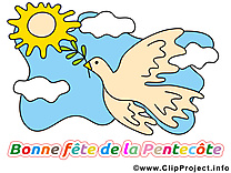 Pigeon clipart gratuit - Pentecôte dessins gratuits