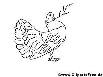 Pigeon coloriage - Pentecôte dessin